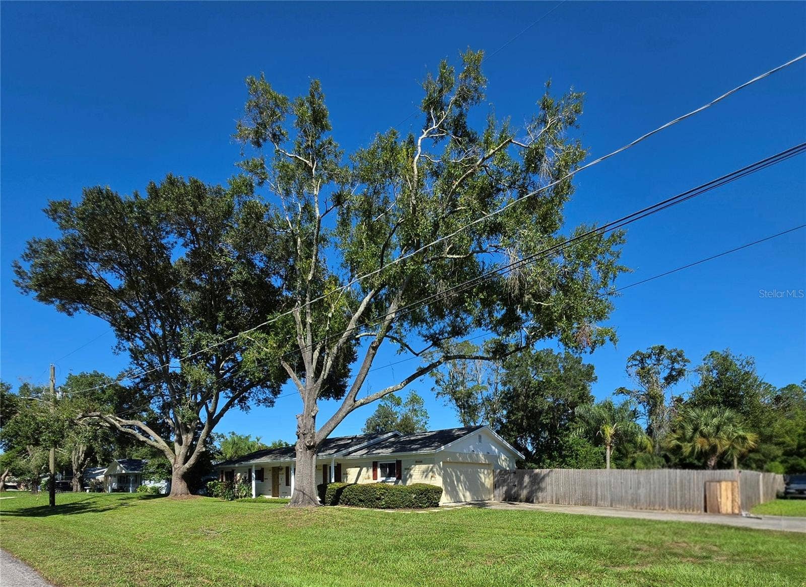 17001 MELBA LANE, Lutz, FL 33549