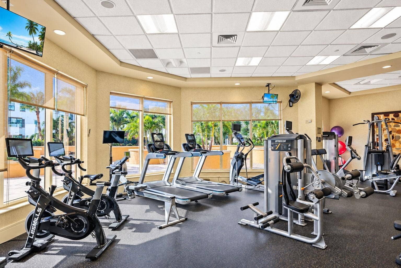 5823 BOWEN DANIEL DRIVE, #704, Tampa, FL 33616 Weight Room