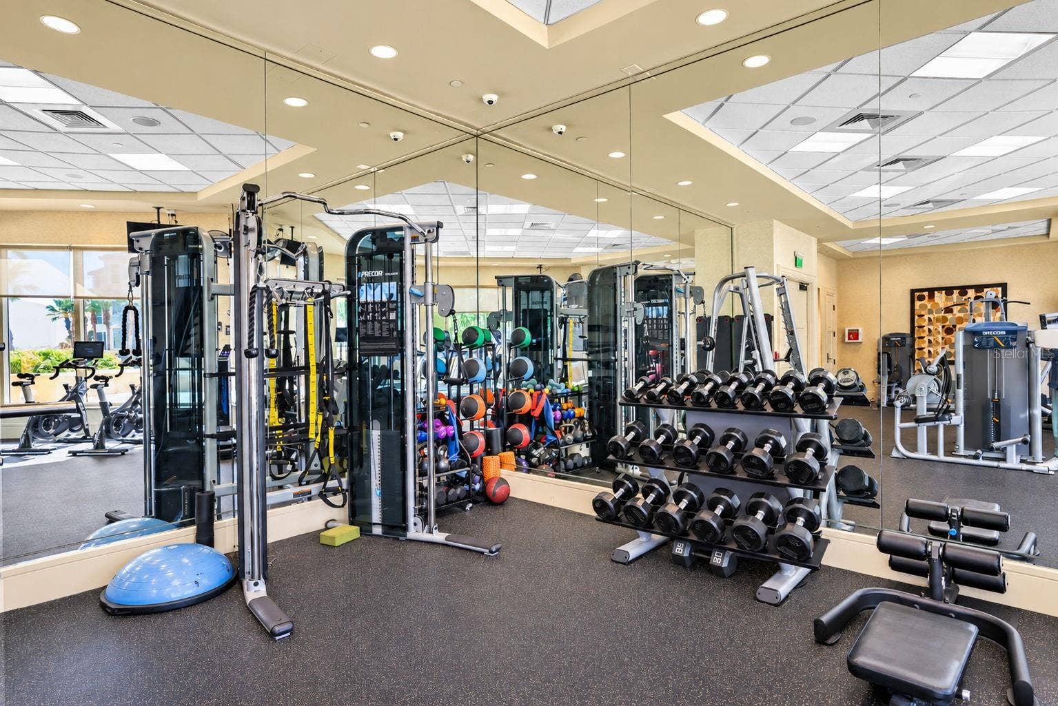 5823 BOWEN DANIEL DRIVE, #704, Tampa, FL 33616 Weight Room