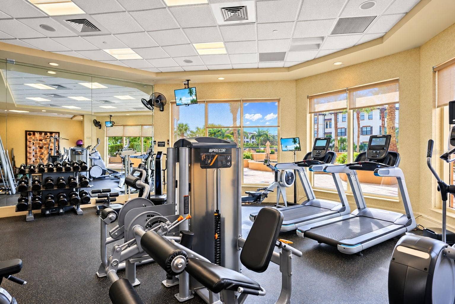 5823 BOWEN DANIEL DRIVE, #704, Tampa, FL 33616 Weight Room