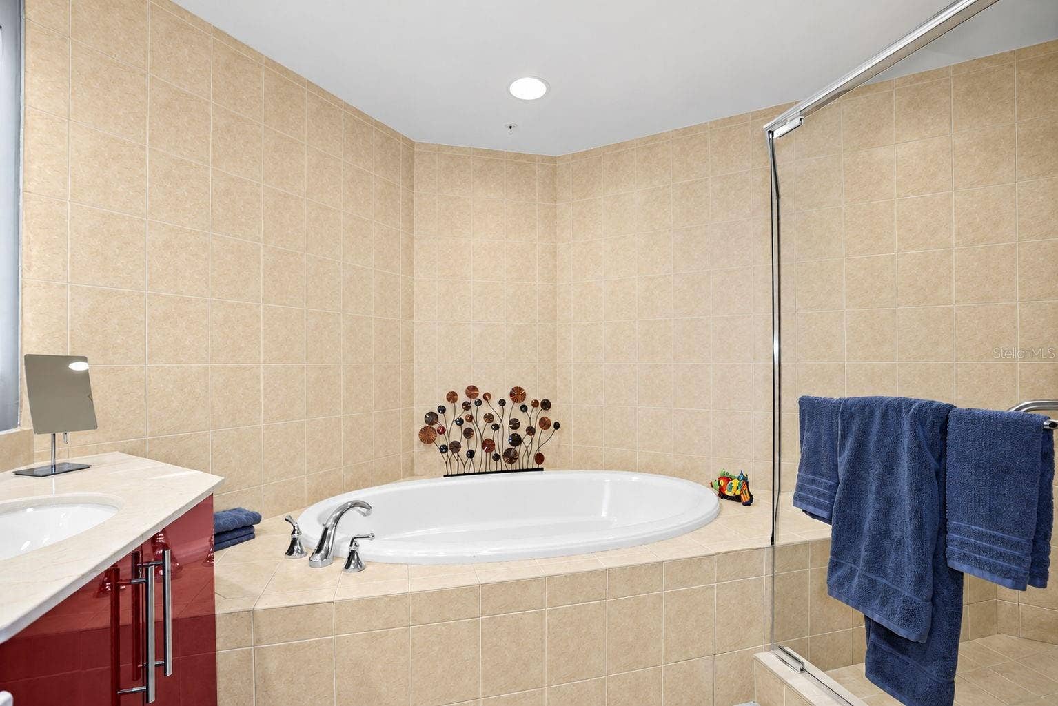 5823 BOWEN DANIEL DRIVE, #704, Tampa, FL 33616 Primary Bath