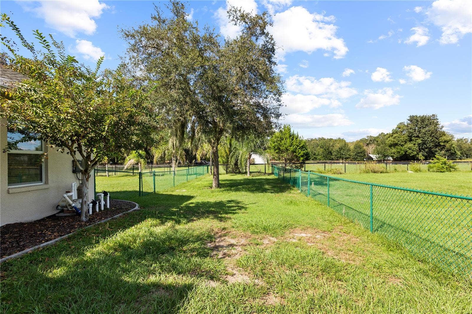6514 LAKE IRENE DRIVE, Land O Lakes, FL 34638