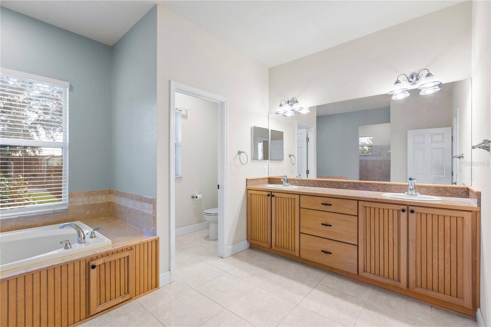 6514 LAKE IRENE DRIVE, Land O Lakes, FL 34638