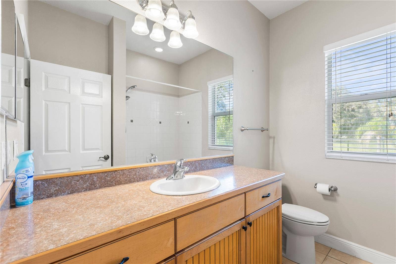 6514 LAKE IRENE DRIVE, Land O Lakes, FL 34638