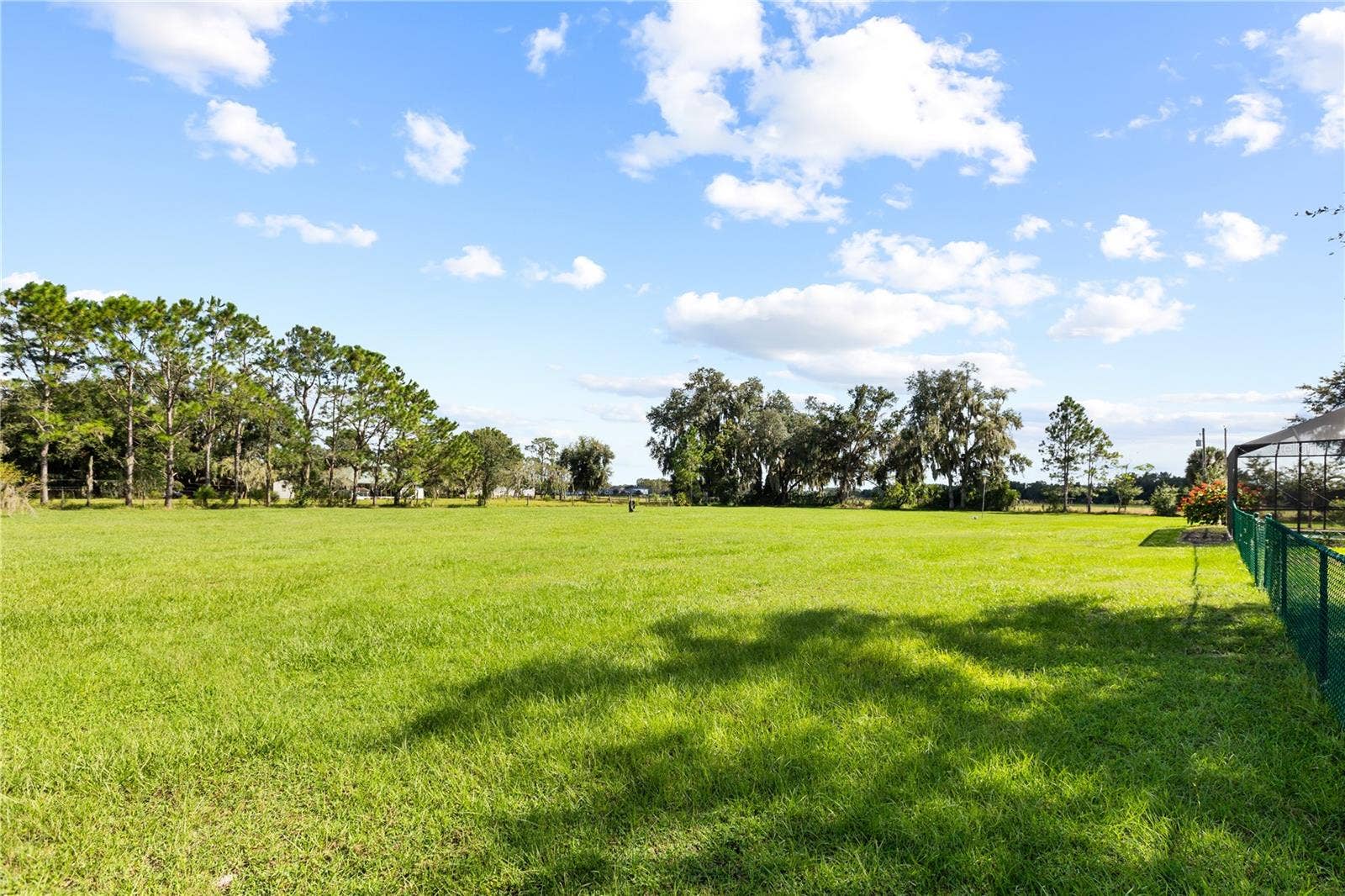 6514 LAKE IRENE DRIVE, Land O Lakes, FL 34638