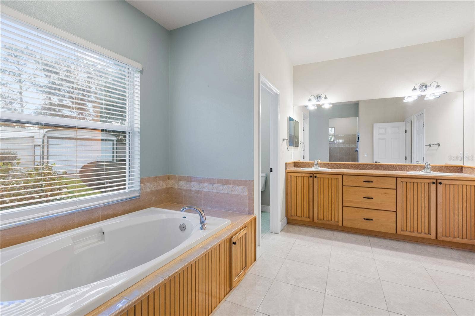 6514 LAKE IRENE DRIVE, Land O Lakes, FL 34638