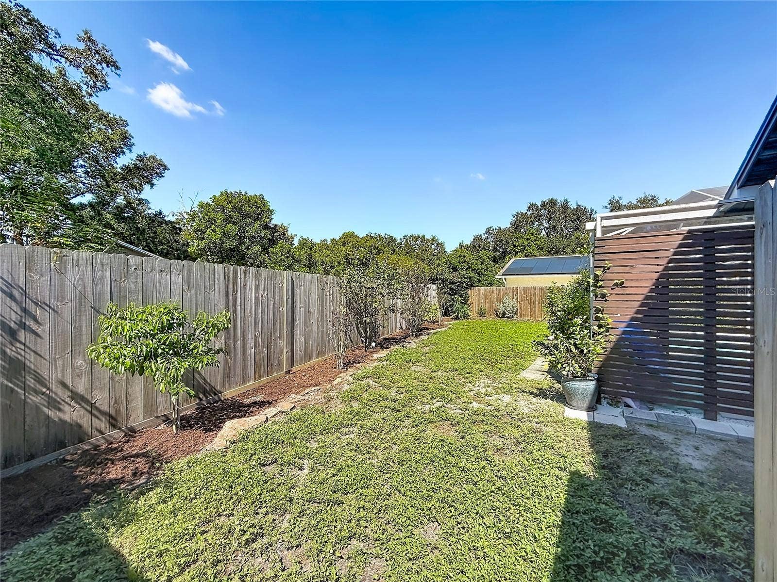 1852 SOURWOOD BOULEVARD, Dunedin, FL 34698 Rear Yard