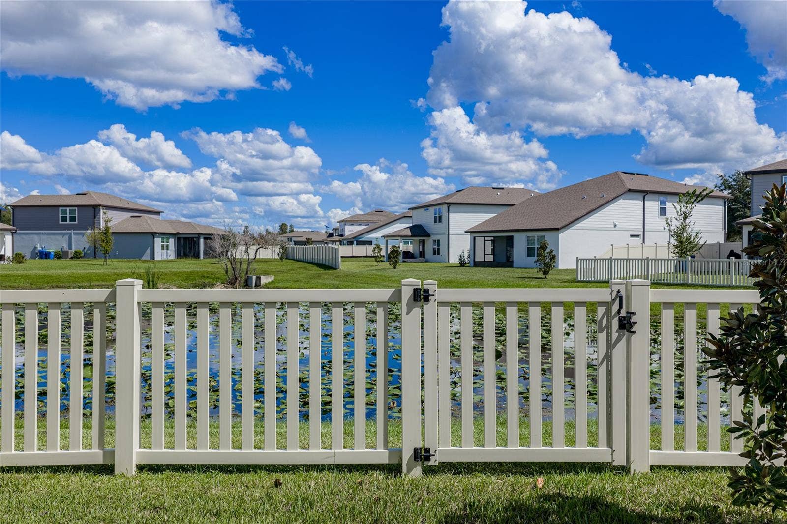1076 KISTNA DRIVE, Zephyrhills, FL 33540 Rear View