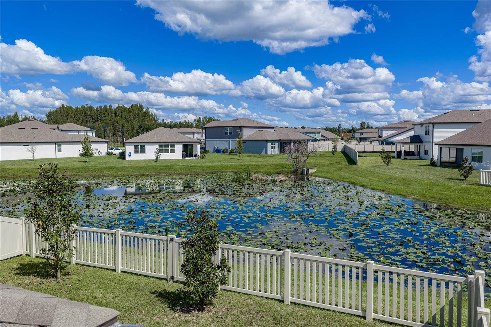1076 KISTNA DRIVE, Zephyrhills, FL 33540 Rear View
