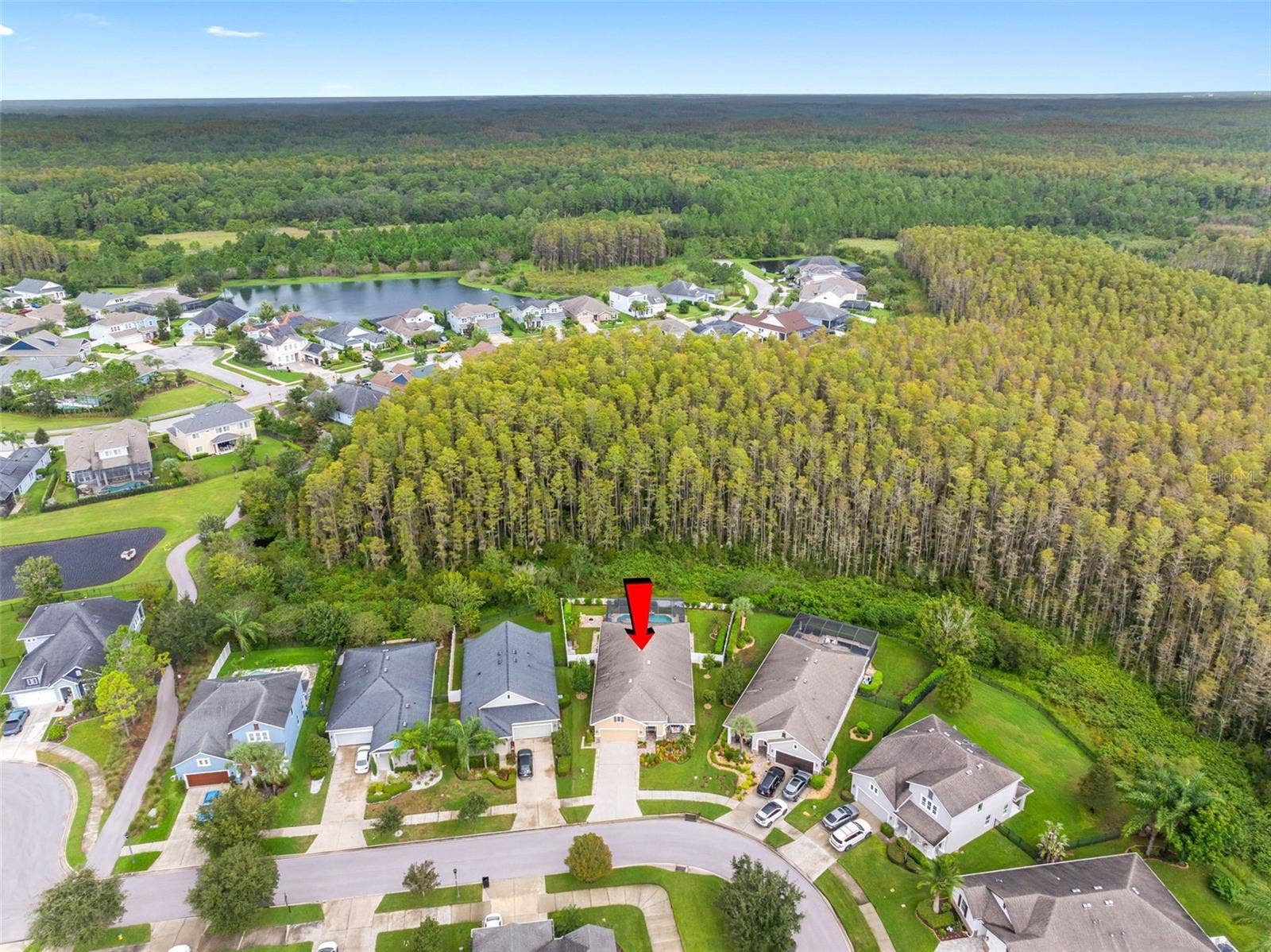 2749 VERONA LANE, Odessa, FL 33556