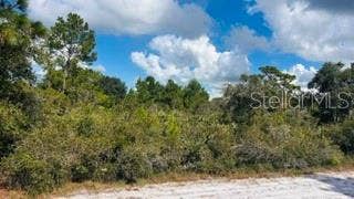 Property photo for 916 (BLK 143 LOT 8) EL DORADO DRIVE, Indian Lake Estates, FL
