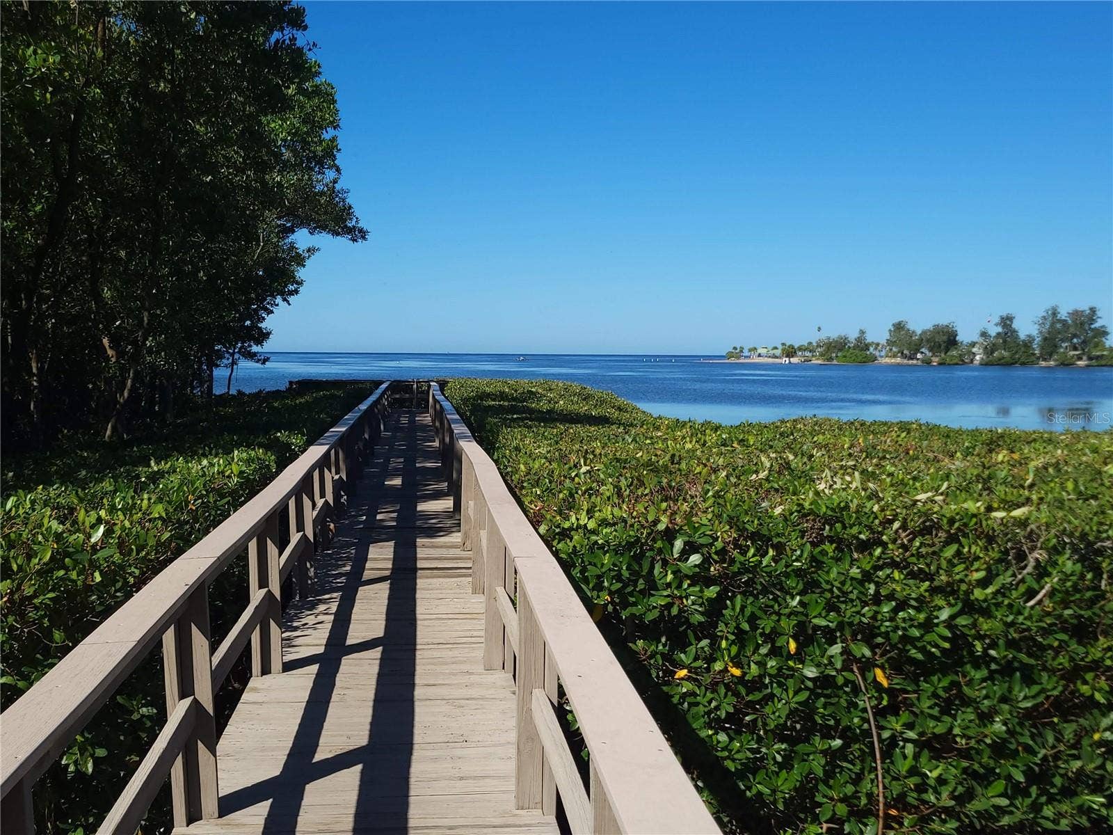 300 S FLORIDA AVENUE, #100L, Tarpon Springs, FL 34689 300 S FLORIDA AVENUE, #100L, Tarpon Springs, FL 34689