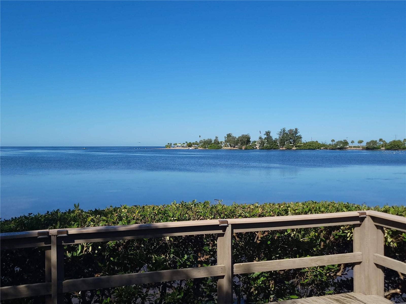 300 S FLORIDA AVENUE, #100L, Tarpon Springs, FL 34689 300 S FLORIDA AVENUE, #100L, Tarpon Springs, FL 34689