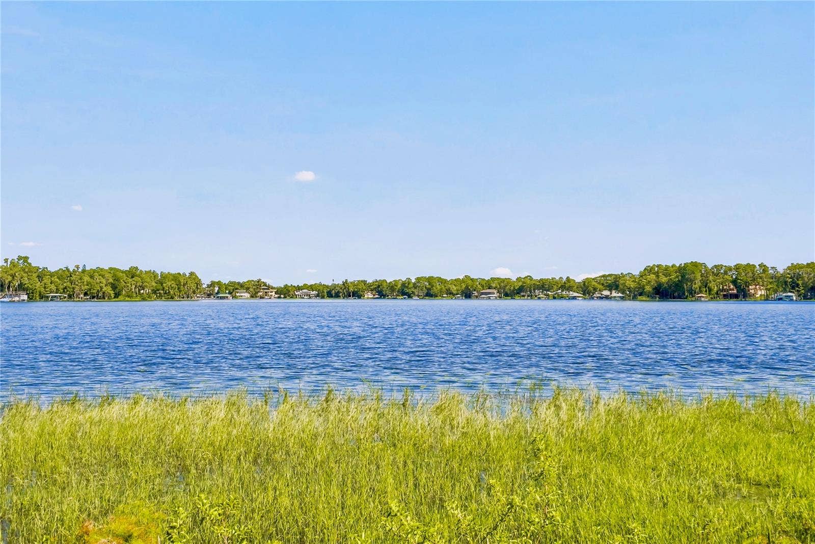 9509 AQUA LANE, Odessa, FL 33556 9509 AQUA LANE, Odessa, FL 33556