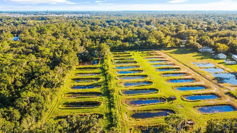 Property photo for 5010 RUTH MORRIS ROAD, Wimauma, FL