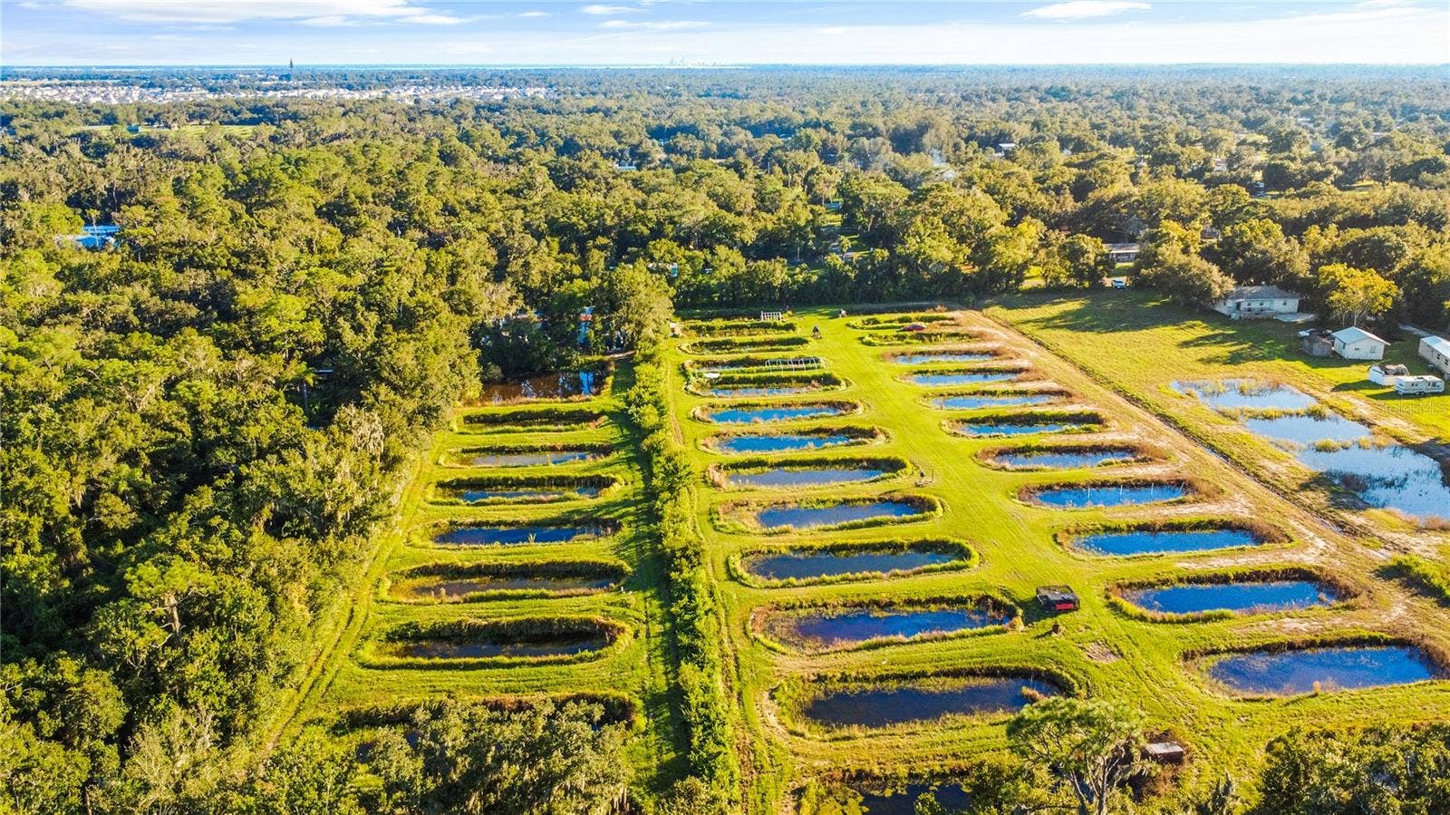 5010 RUTH MORRIS ROAD, Wimauma, FL 33598 5010 RUTH MORRIS ROAD, Wimauma, FL 33598