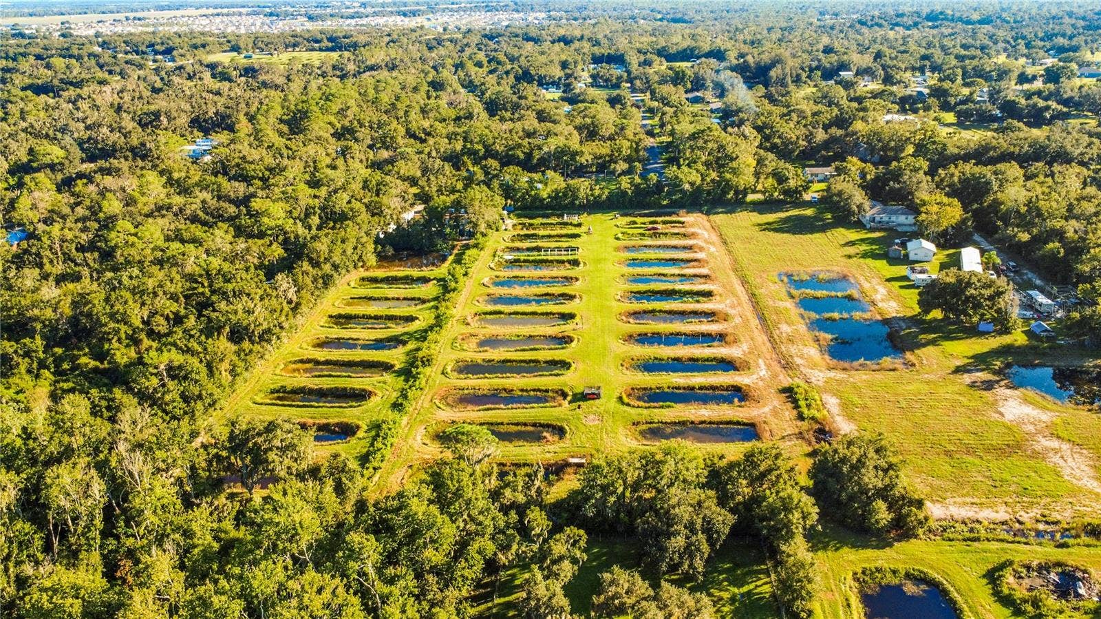 5010 RUTH MORRIS ROAD, Wimauma, FL 33598 5010 RUTH MORRIS ROAD, Wimauma, FL 33598