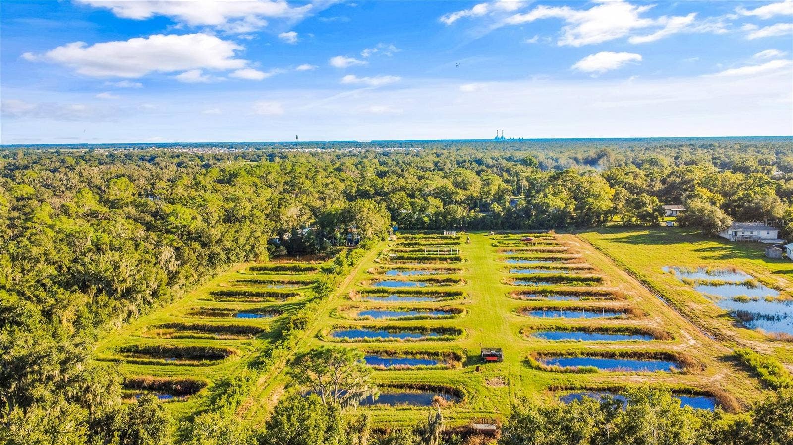 5010 RUTH MORRIS ROAD, Wimauma, FL 33598 5010 RUTH MORRIS ROAD, Wimauma, FL 33598