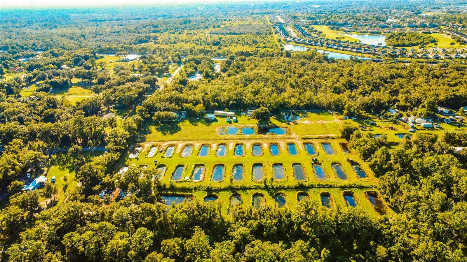 5010 RUTH MORRIS ROAD, Wimauma, FL 33598 5010 RUTH MORRIS ROAD, Wimauma, FL 33598