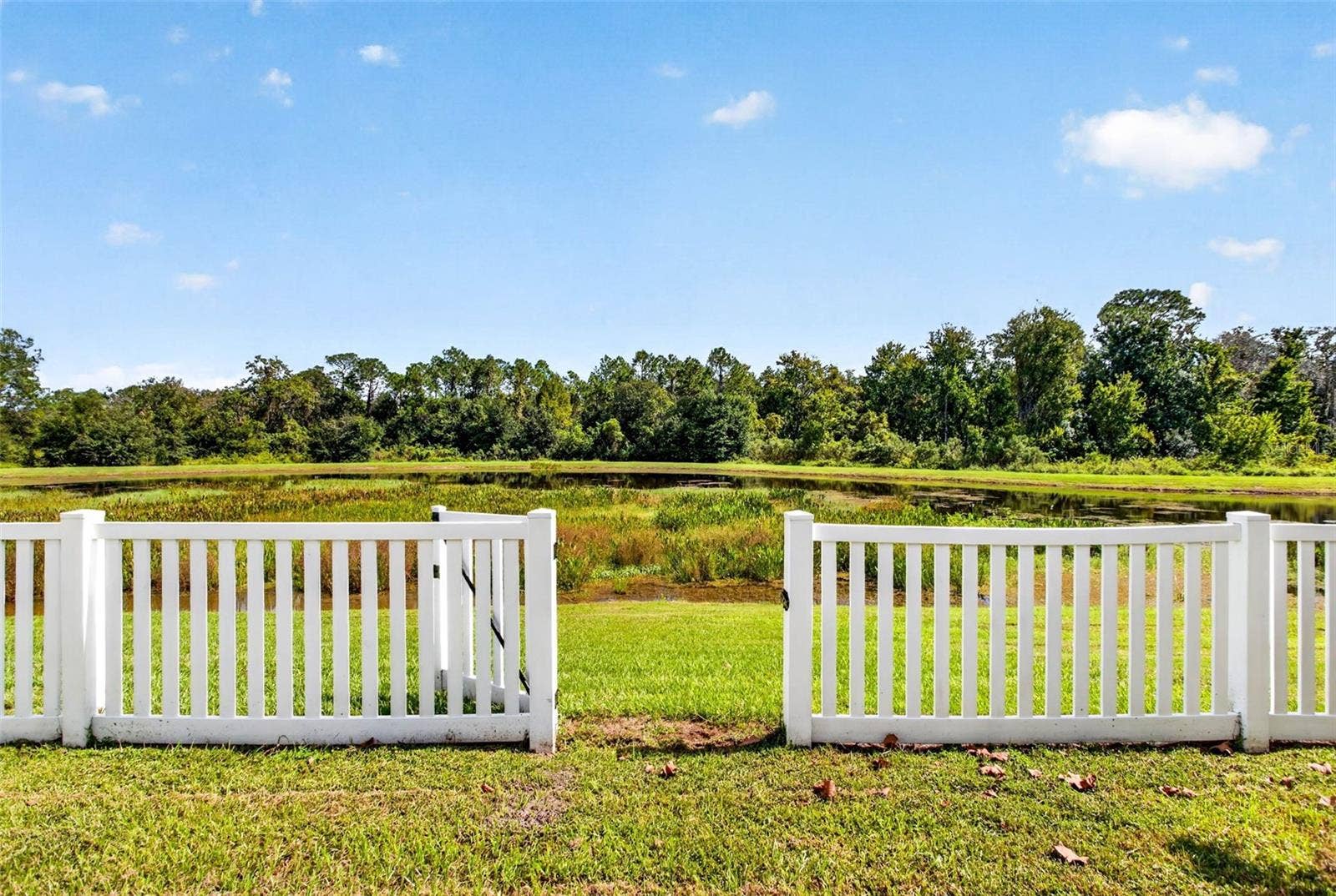 35683 BUTTONWEED TRAIL, Zephyrhills, FL 33541 35683 BUTTONWEED TRAIL, Zephyrhills, FL 33541