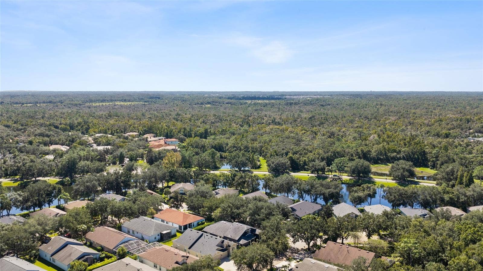 6020 MARTINGLADE PLACE, Lithia, FL 33547 6020 MARTINGLADE PLACE, Lithia, FL 33547