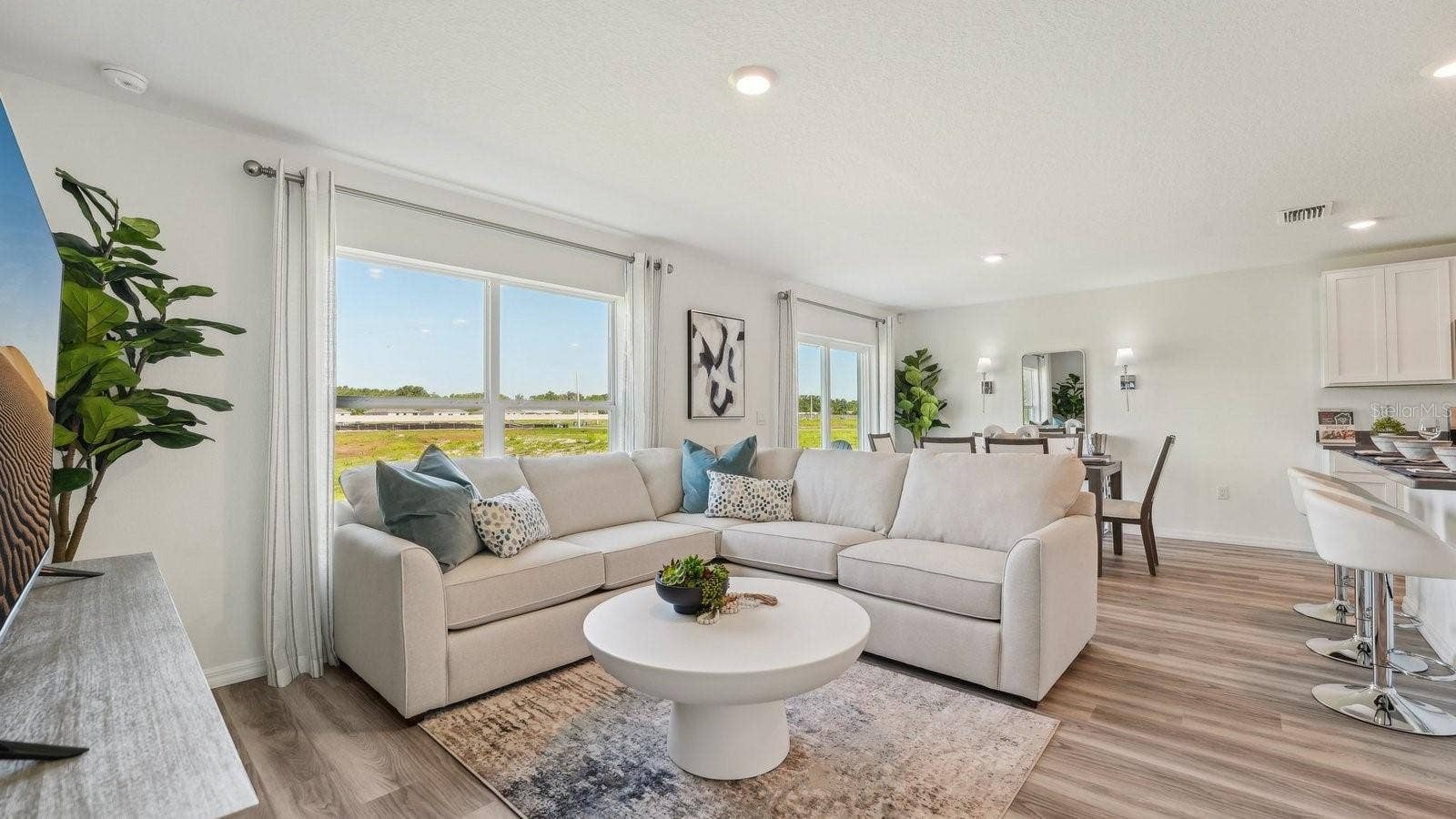 1117 ARROWHEAD VINE COURT, Plant City, FL 33566