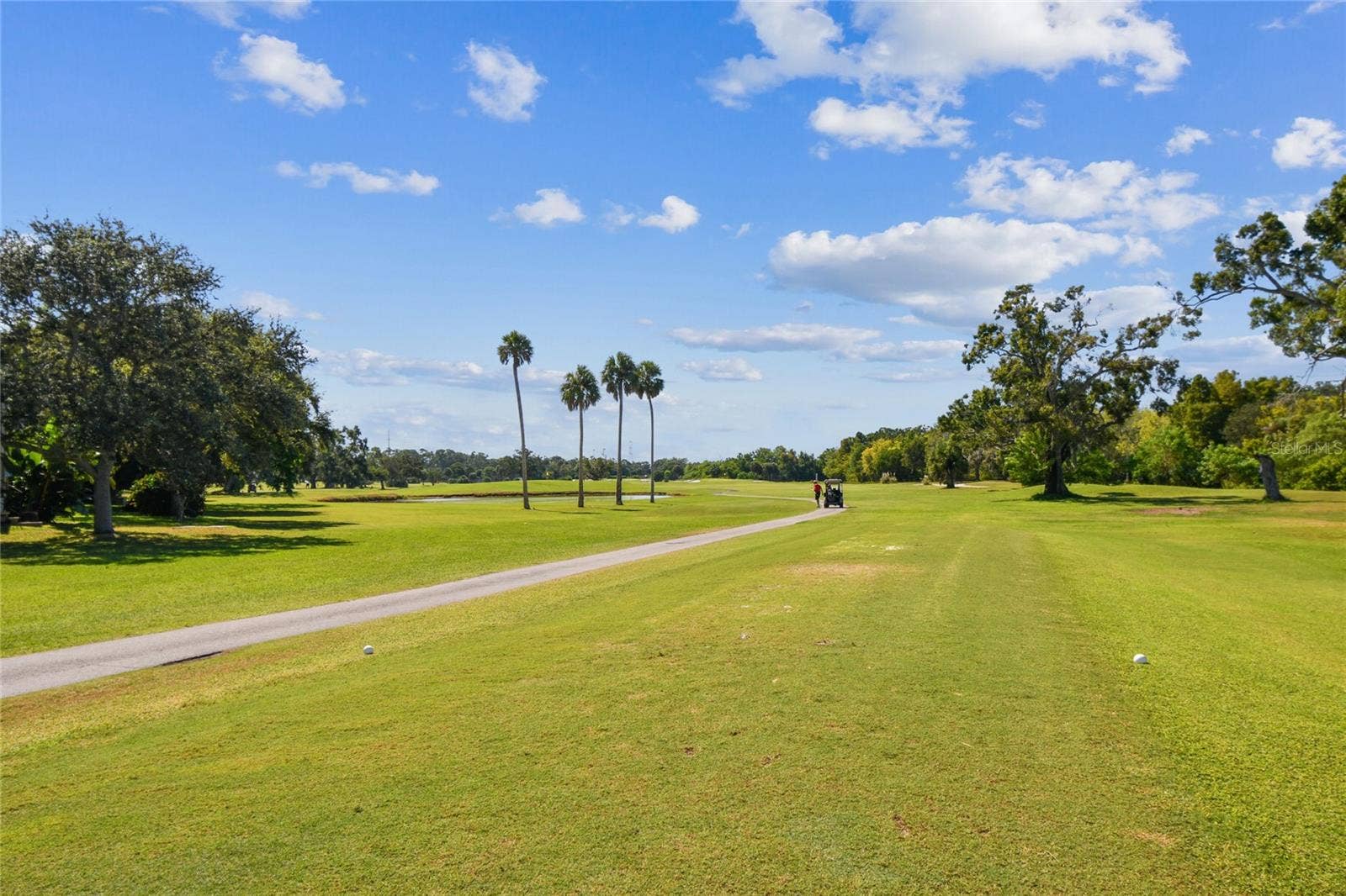 1200 COUNTRY CLUB DRIVE, #3202, Largo, FL 33771 1200 COUNTRY CLUB DRIVE, #3202, Largo, FL 33771