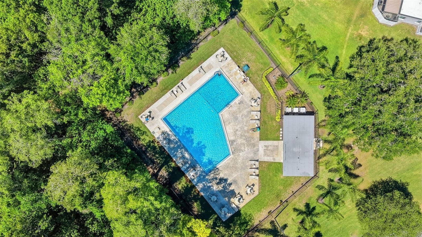 2729 FOXFIRE COURT, #C, Clearwater, FL 33761 Community pool