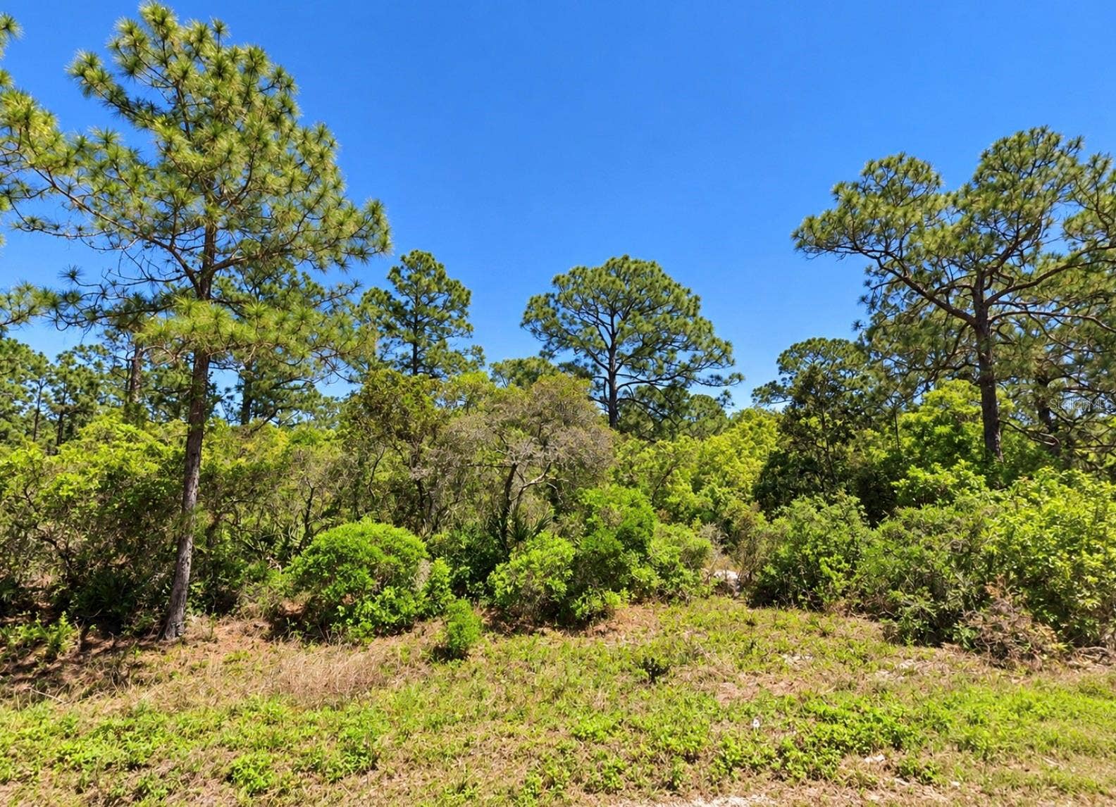 105 SUWANNEE LANE, Lake Placid, FL 33852 105 SUWANNEE LANE, Lake Placid, FL 33852