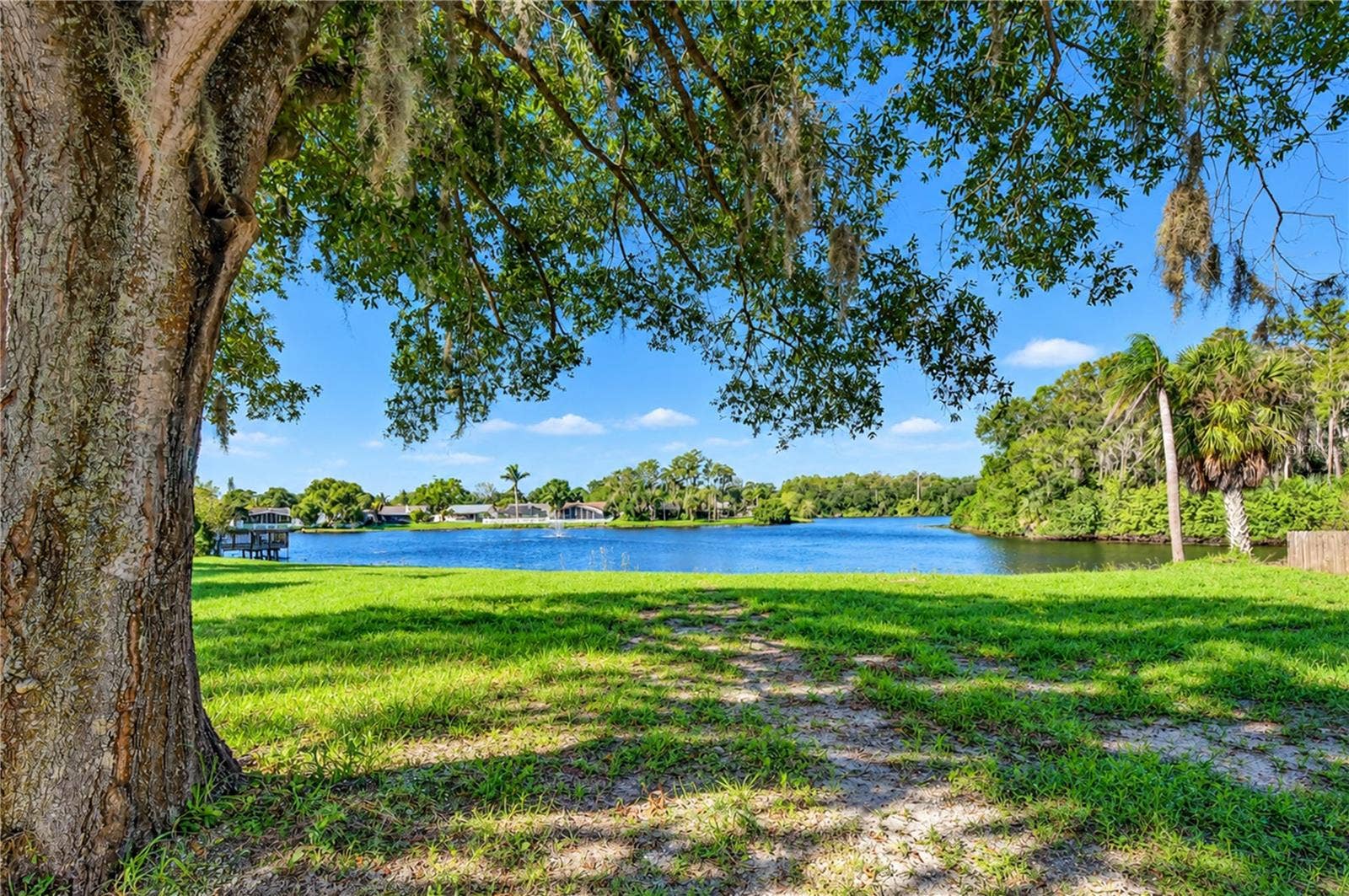 404 LAKEVIEW DRIVE, Oldsmar, FL 34677 404 LAKEVIEW DRIVE, Oldsmar, FL 34677