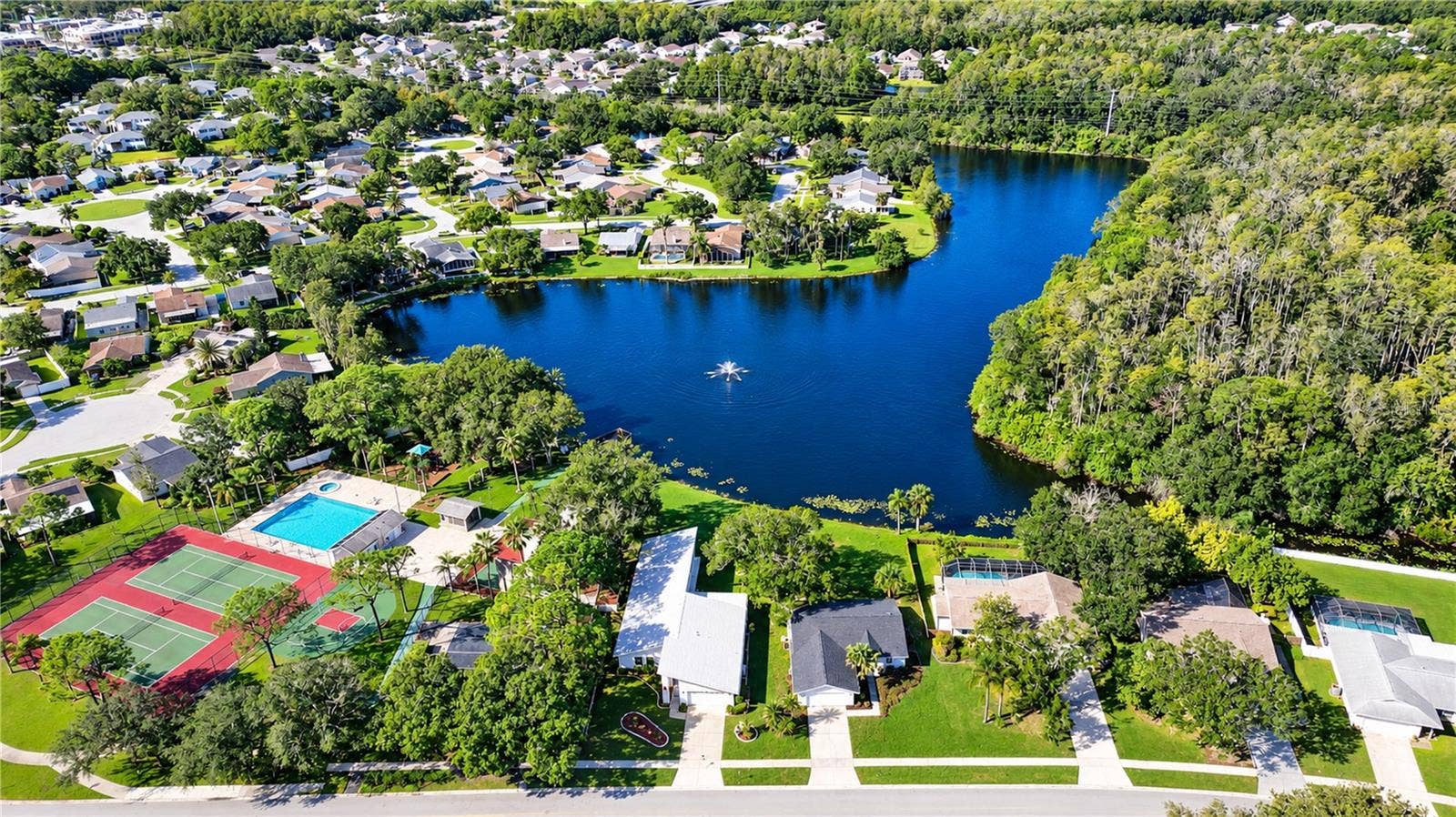404 LAKEVIEW DRIVE, Oldsmar, FL 34677 404 LAKEVIEW DRIVE, Oldsmar, FL 34677