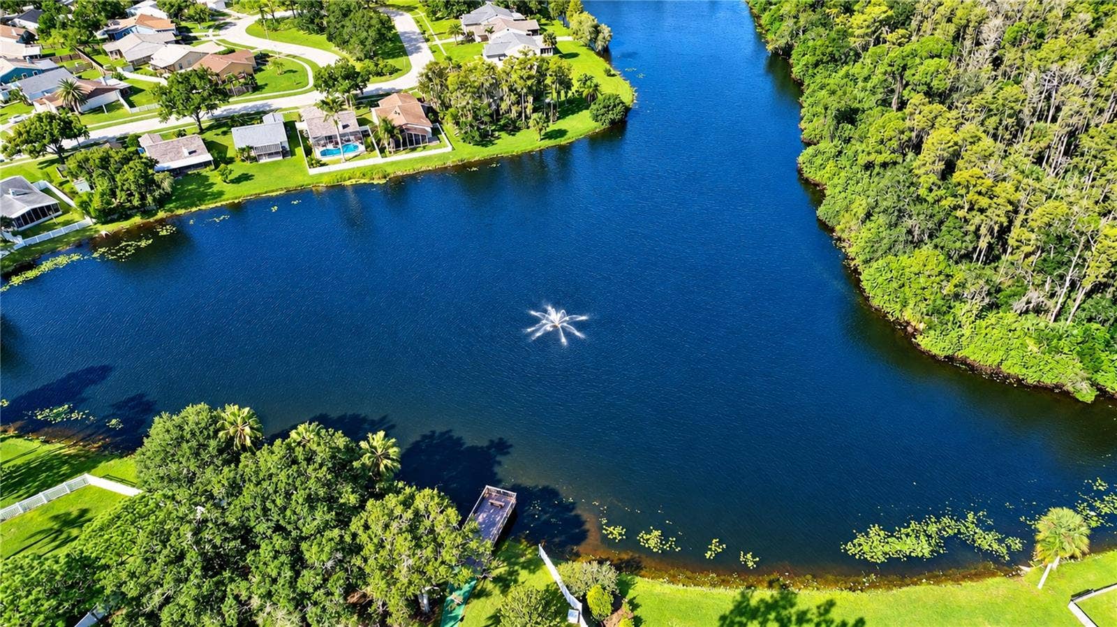 404 LAKEVIEW DRIVE, Oldsmar, FL 34677 404 LAKEVIEW DRIVE, Oldsmar, FL 34677