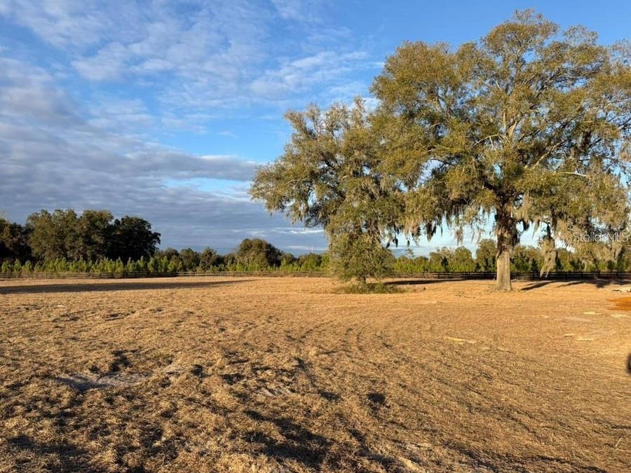 Property photo for 5215 SW 125TH CIRCLE, Archer, FL
