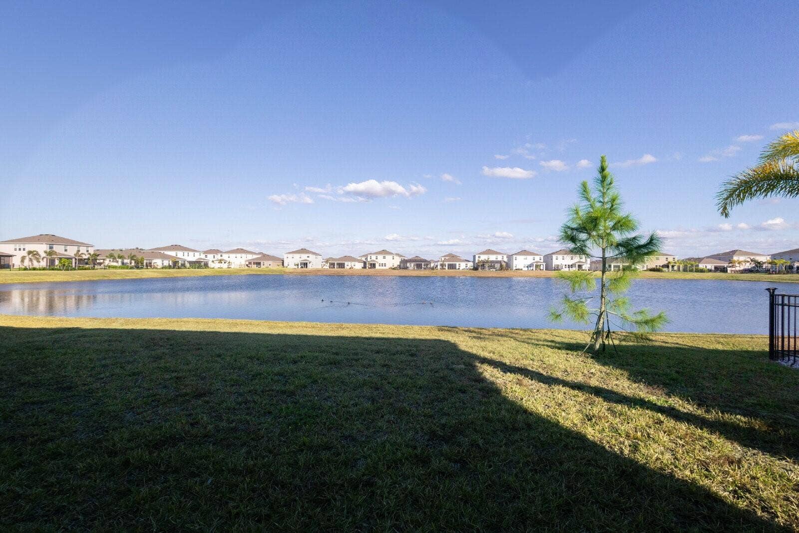 345 MANGROVE MANOR DRIVE, Apollo Beach, FL 33572 345 MANGROVE MANOR DRIVE, Apollo Beach, FL 33572