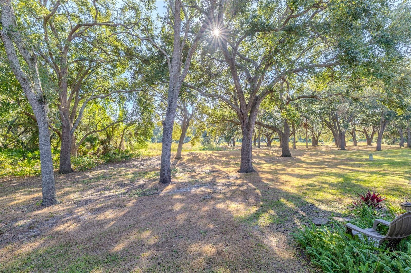 2432 LAKE WOODBERRY CIRCLE, Brandon, FL 33510 Backyard
