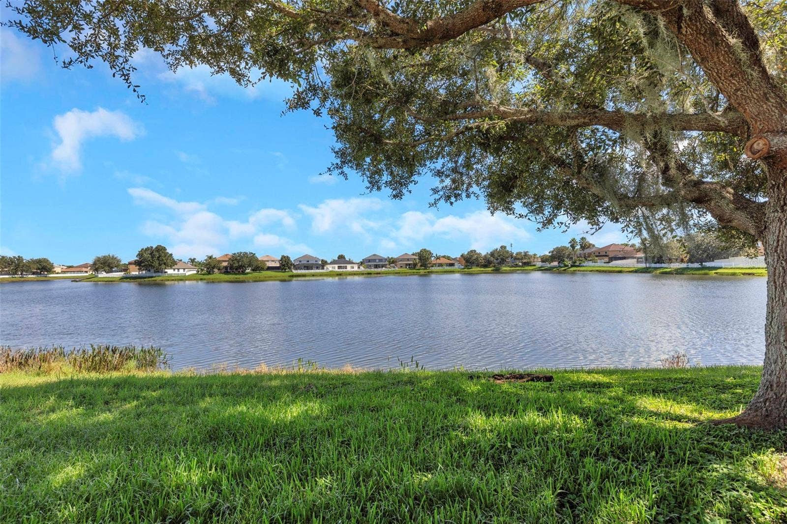 30913 BRIDGEGATE DRIVE, Wesley Chapel, FL 33545