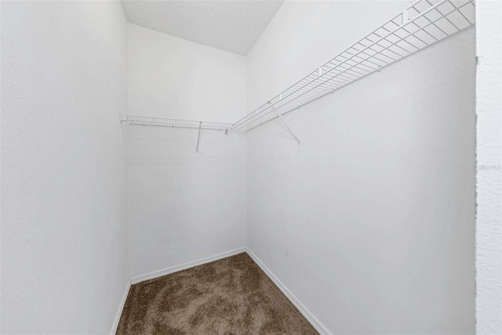 1406 MCCREA DRIVE, Lutz, FL 33549 1406 MCCREA DRIVE, Lutz, FL 33549
