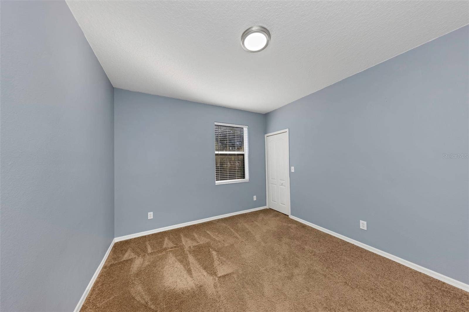 1406 MCCREA DRIVE, Lutz, FL 33549 1406 MCCREA DRIVE, Lutz, FL 33549