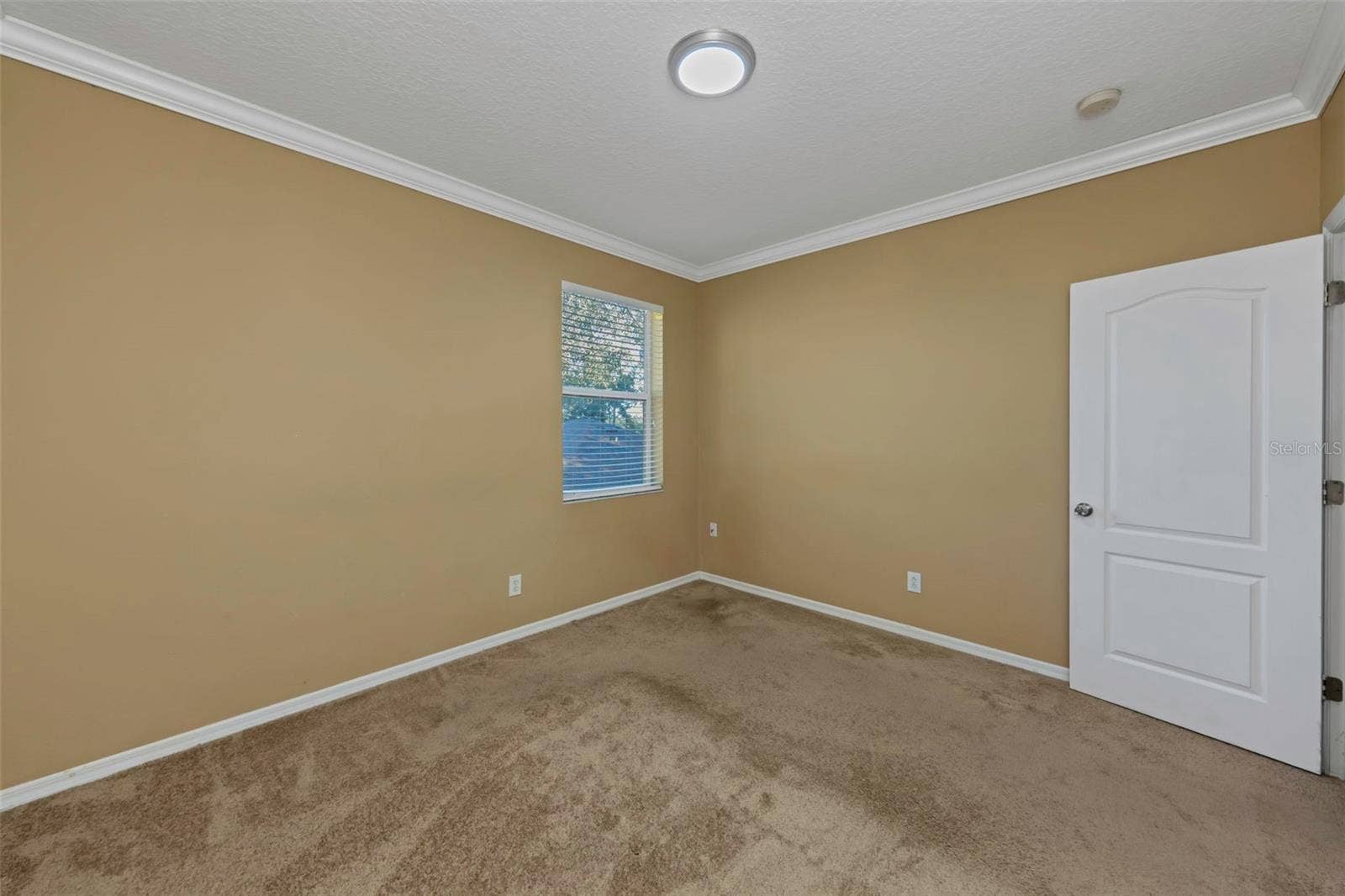 1406 MCCREA DRIVE, Lutz, FL 33549 1406 MCCREA DRIVE, Lutz, FL 33549