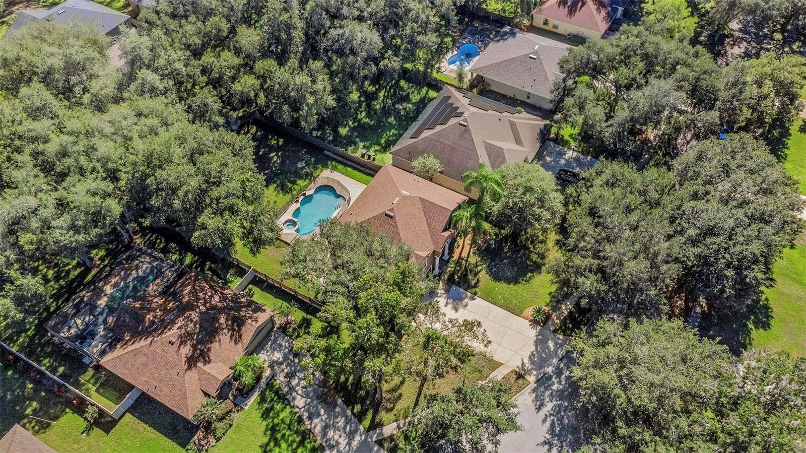 1406 MCCREA DRIVE, Lutz, FL 33549 1406 MCCREA DRIVE, Lutz, FL 33549