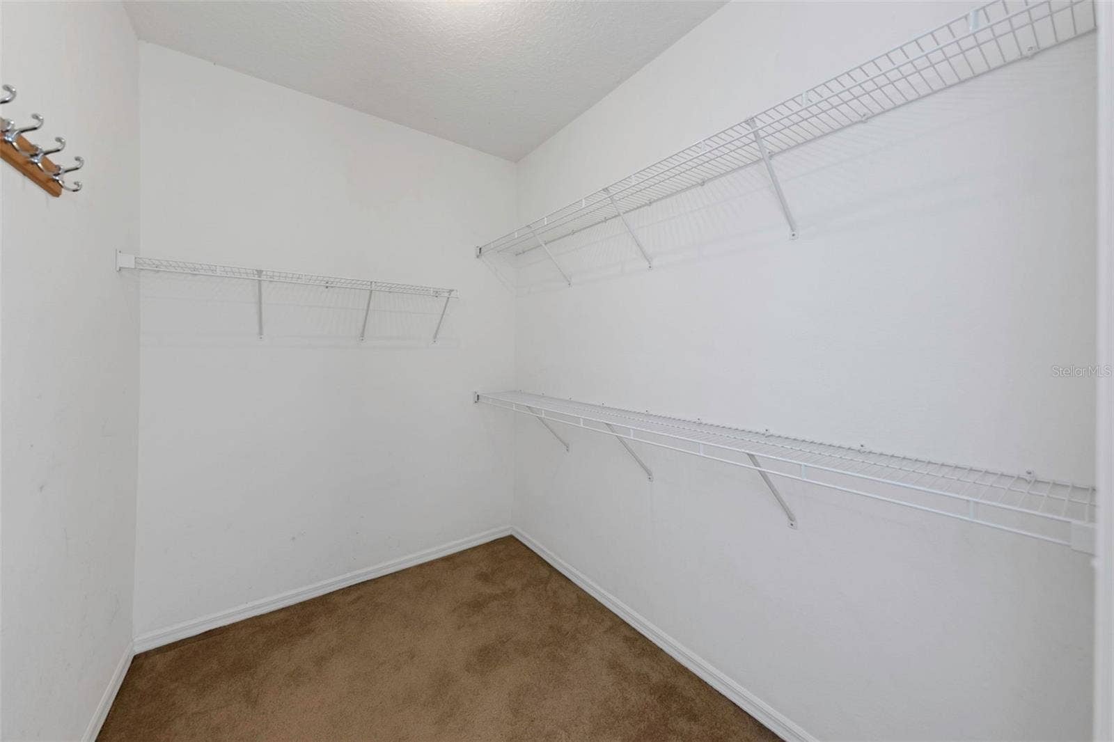 1406 MCCREA DRIVE, Lutz, FL 33549 1406 MCCREA DRIVE, Lutz, FL 33549