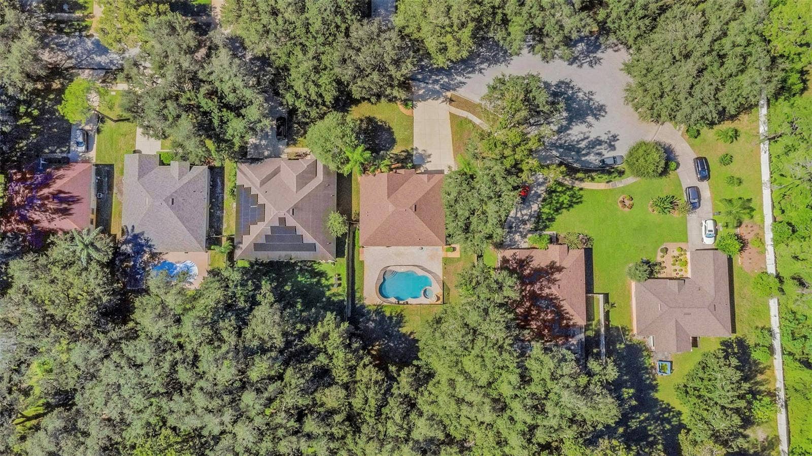 1406 MCCREA DRIVE, Lutz, FL 33549 1406 MCCREA DRIVE, Lutz, FL 33549