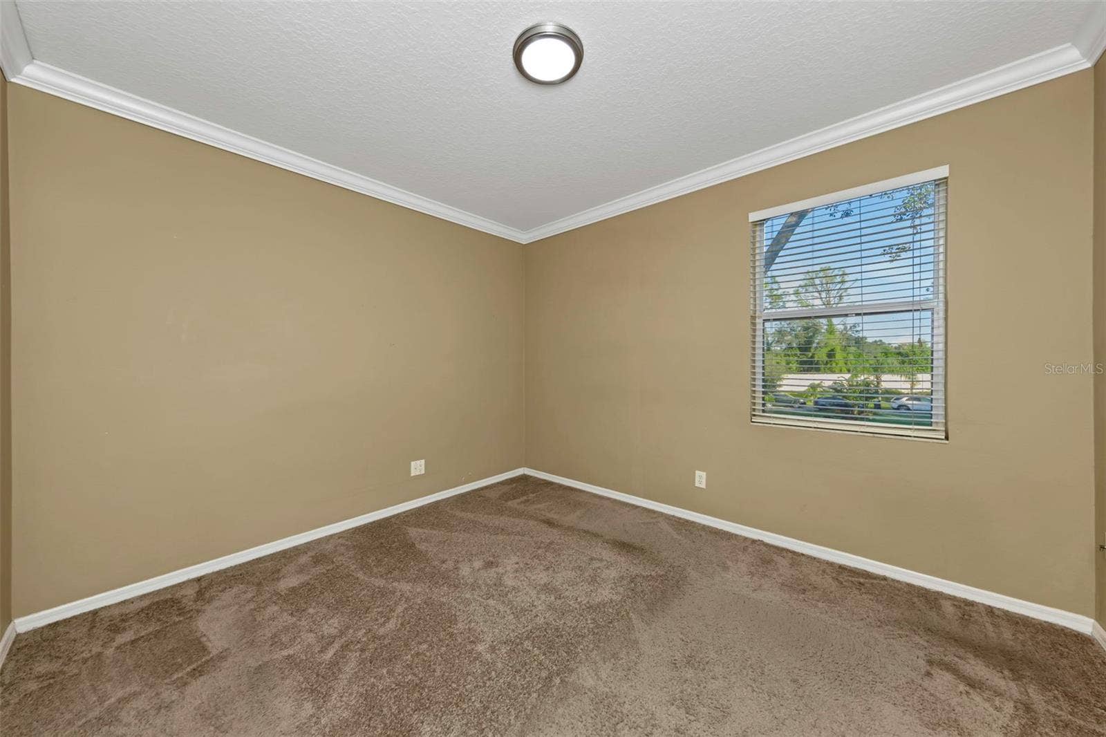 1406 MCCREA DRIVE, Lutz, FL 33549 1406 MCCREA DRIVE, Lutz, FL 33549