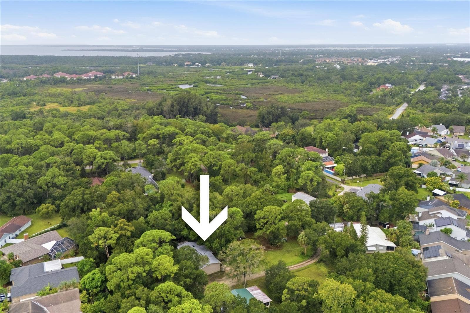 12319 MEMORIAL HIGHWAY, Tampa, FL 33635 12319 MEMORIAL HIGHWAY, Tampa, FL 33635