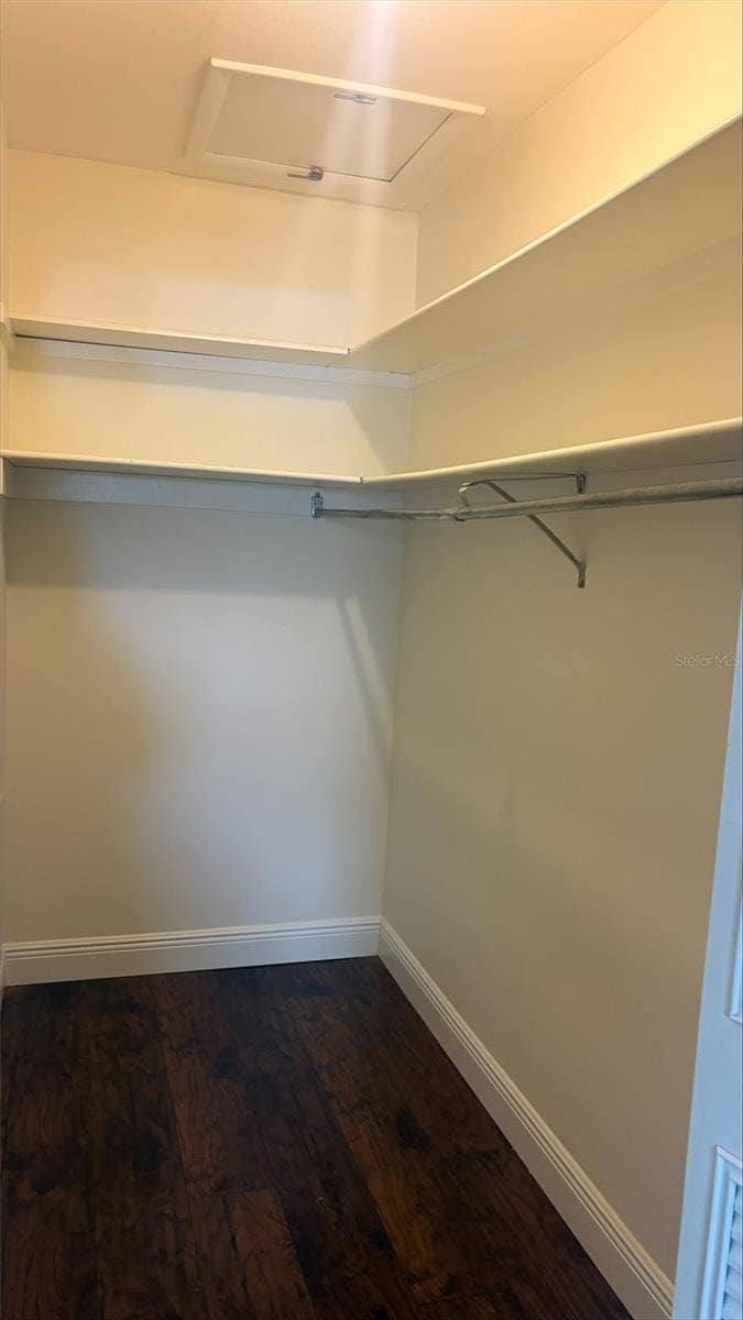 911 WASHINGTON AVENUE, #311, Largo, FL 33770 Closet
