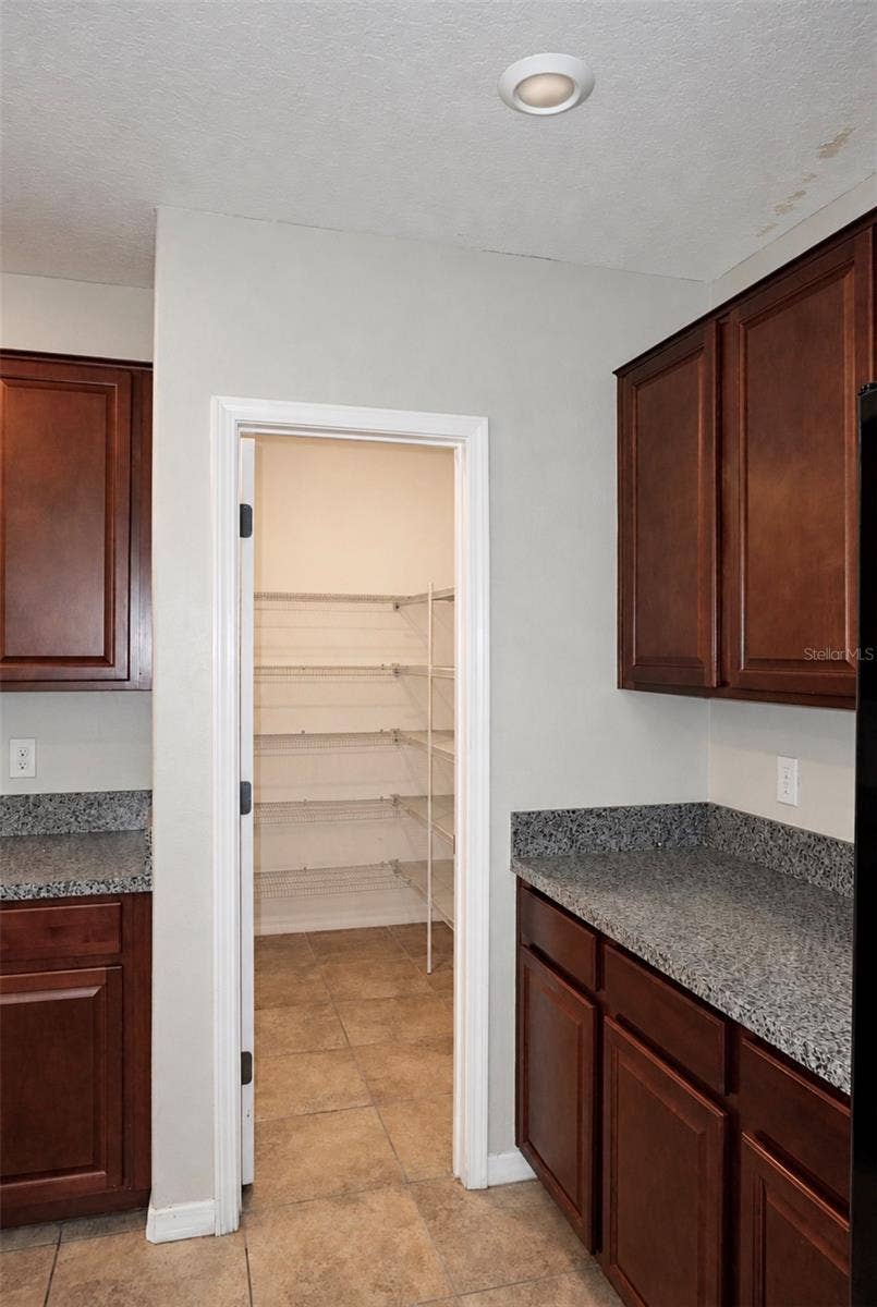 10213 BOGGY MOSS DRIVE, Riverview, FL 33578