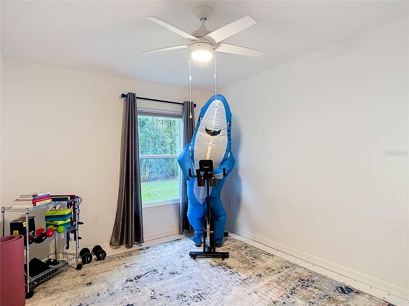11225 WOOD OWL AVENUE, Weeki Wachee, FL 34614 11225 WOOD OWL AVENUE, Weeki Wachee, FL 34614