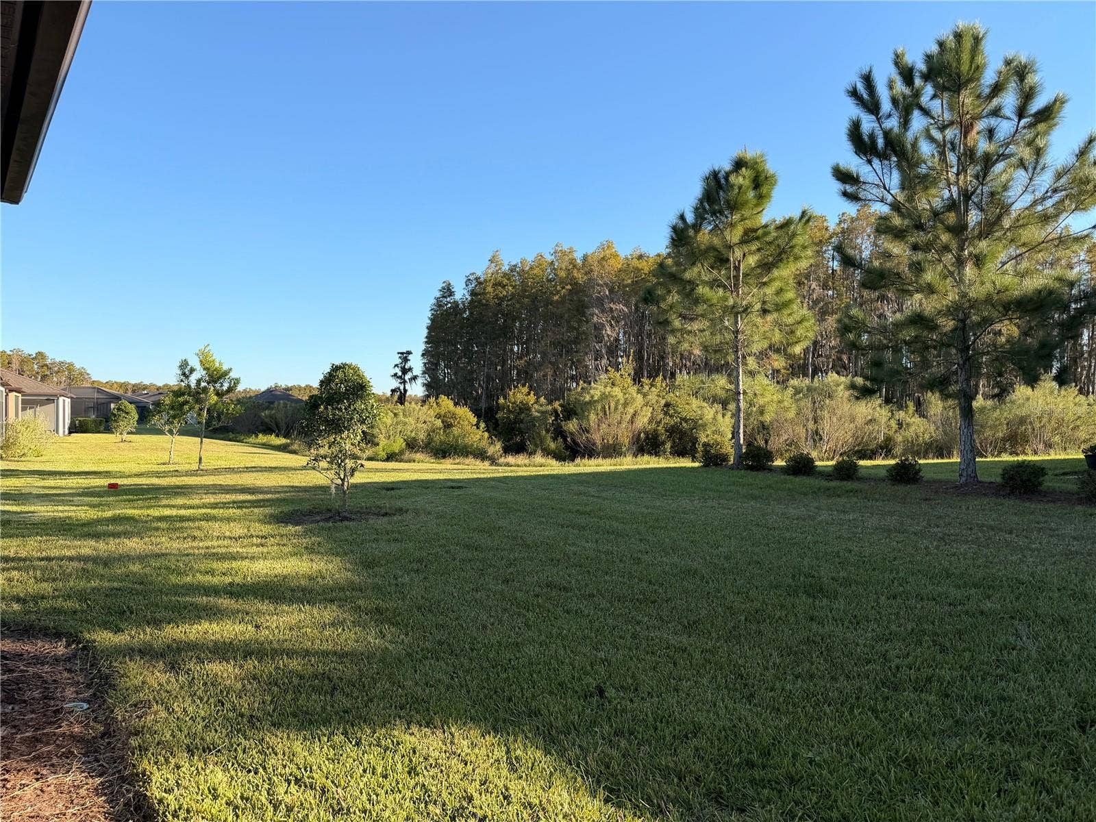 19420 SHIP WHEEL WAY, Land O Lakes, FL 34638 Backs up to Conservation Lot