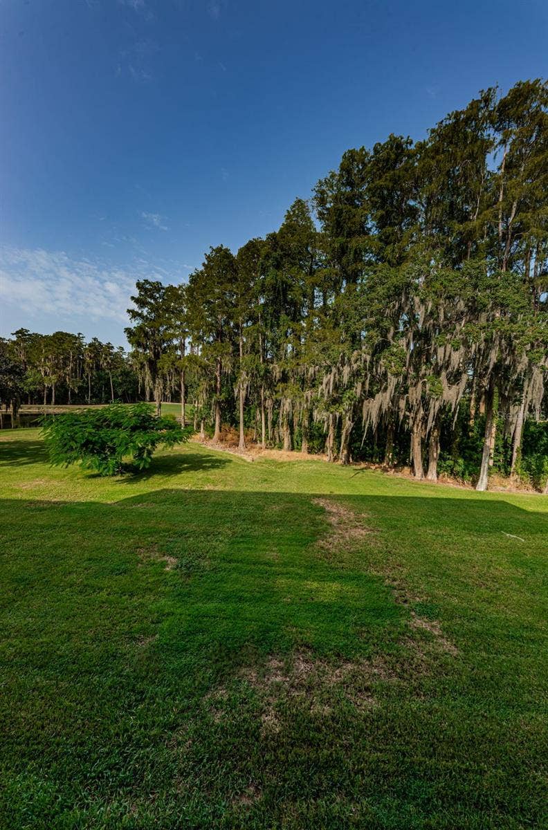 36750 US HIGHWAY 19 N, #3-209, Palm Harbor, FL 34683 36750 US HIGHWAY 19 N, #3-209, Palm Harbor, FL 34683