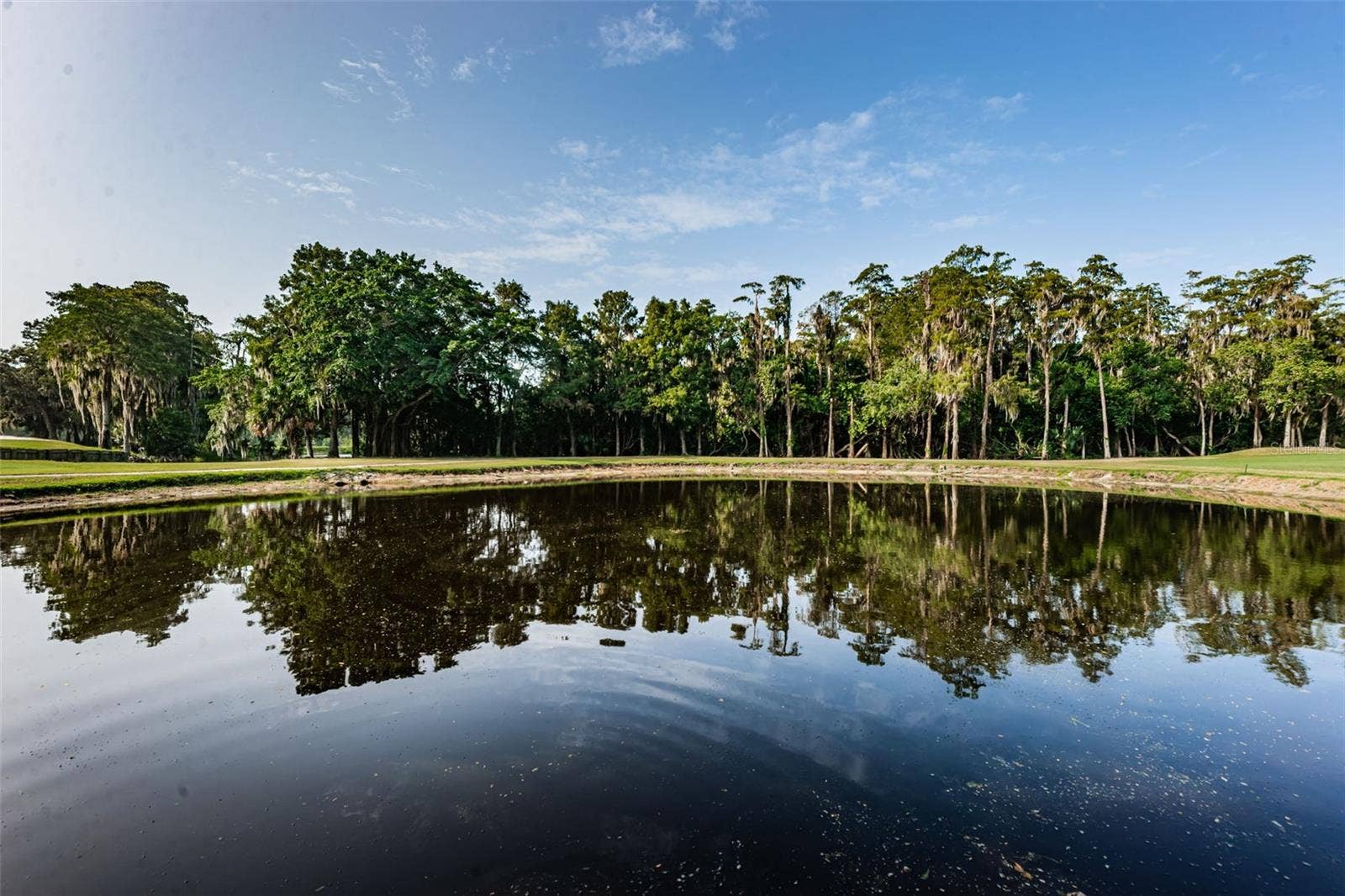 36750 US HIGHWAY 19 N, #3-209, Palm Harbor, FL 34683 36750 US HIGHWAY 19 N, #3-209, Palm Harbor, FL 34683